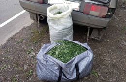 В Карымском районе мужчина перевозил в багажнике более 5 кг марихуаны