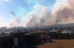 Недалеко от села Александровка горит лес