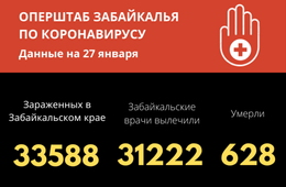 С начала пандемии COVID-19 заболело более 33 тысяч забайкальцев