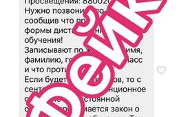 В родительских чатах распространяется фэйковая информация про опрос родителей против дистанционного обучения