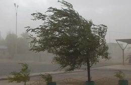 Штормовой ветер ожидается 9 августа в Забайкалье