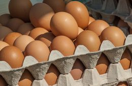 Читинские яйца дешевле привозных