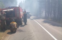 Виновник июньского лесного пожара на Молоковке получил полтора года исправительных работ