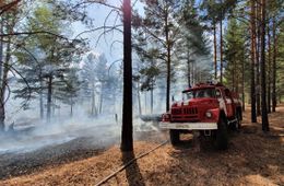 В Забайкалье нет действующих лесных пожаров 