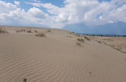 Чарские пески в Забайкалье заняли 8 место в номинации поразительных мест страны