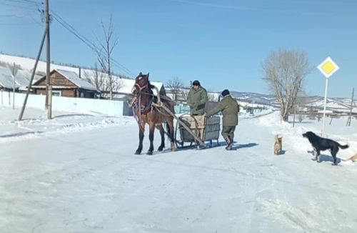 Шелопугинский район, с. Мироново, грузовое се...