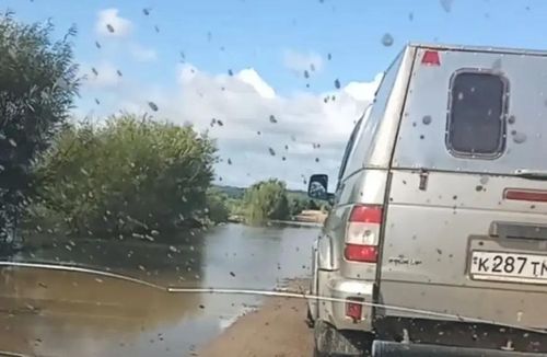 Без проезда и электричества. Как живет село Батакан.