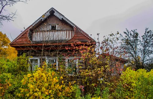 Без дома и без денег