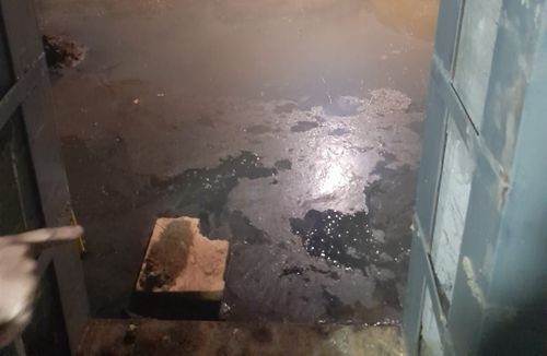 Дом с фекалиями