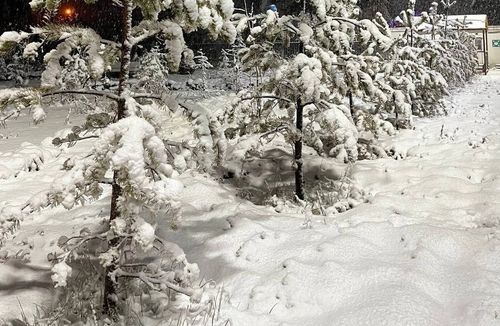 Снежная сказка в Новой Чаре. Забайкальский кр...