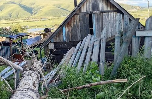 Ураган повалил тополь в селе Дунаево в Забайкалье
