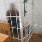 Забайкалец публично оправдывал терроризм. Возбуждено уголовное дело.