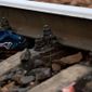 Читинец погиб под колесами поезда на станции Черновская