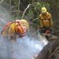 В Забайкалье продолжают действовать 13 лесных пожаров, 30 очагов возгораний пожарные ликвидировали