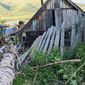 Ураган повалил тополь в селе Дунаево в Забайкалье