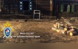 Двухлетняя девочка с мамой, и ее дедушка погибли в пожаре в Новой - Следком