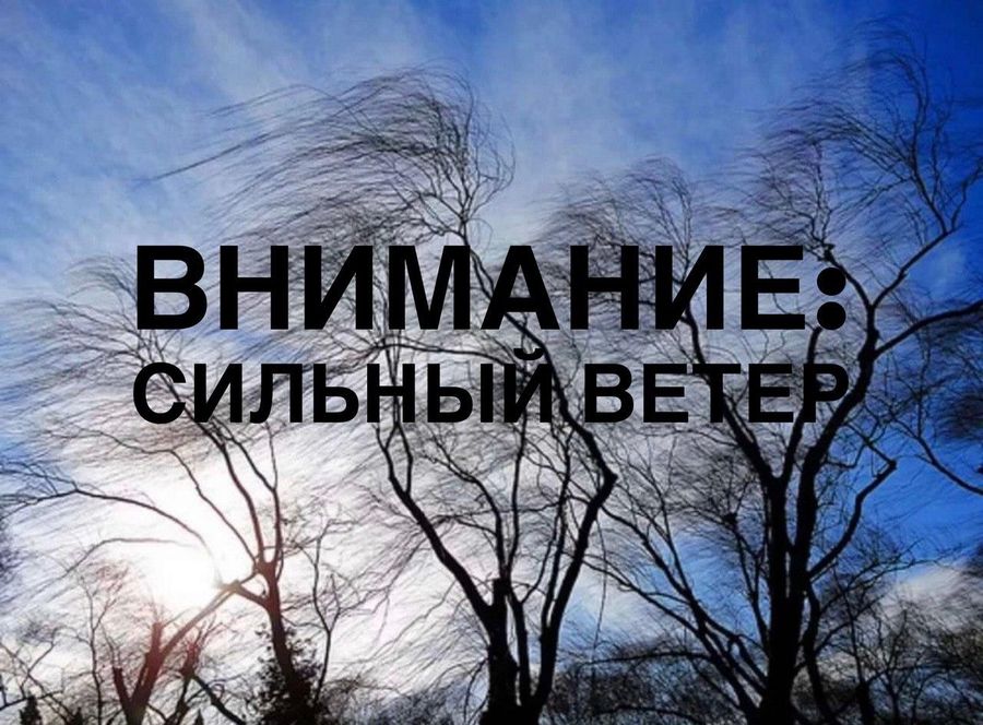Усиление ветра и дождь ожидаются в Чите в воскресенье и понедельник