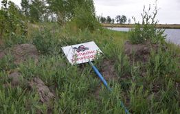 Следователи проверяют информацию об утонувшей возле Краснокаменска женщине