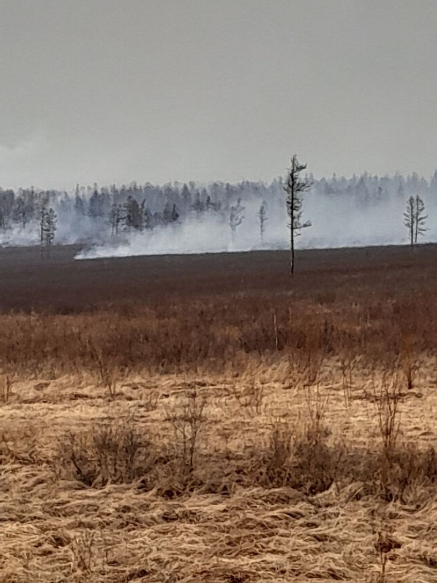 Режим ЧС введен в лесах Забайкальского края