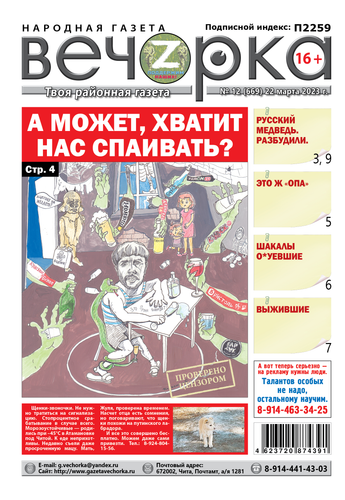 «Вечорка», №12: А может, хватит нас спаивать?