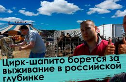 Вечорка ТВ: Тигру мяса не докладывают: Из-за коронавируса около двухсот цирков-шапито борются за выживание