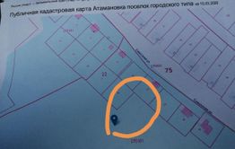 Атамановке опять угрожают лесорубы