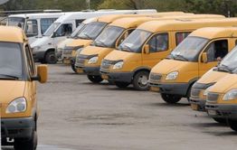 Маршрутчики в удавке депутата