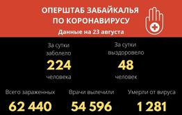 В Забайкалье выявили 224 новых случая заражения коронавирусом за сутки