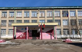 Стая собак напала на восьмиклассниц возле школы в Чите
