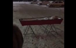 Самарцы преподнесли первый подарок Дмитрию Кочергину