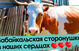 Живешь за Байкалом — не щелкай забралом!