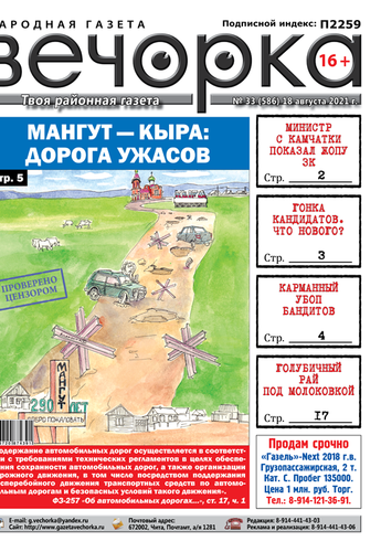 «Вечорка», №33