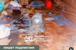 Следователи начали проверку из-за хранящихся в гараже трупов в Могоче