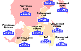 Забайкалье занимает седьмое место в ДФО по количеству заболевших COVID-19