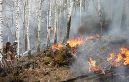 ​Забайкалье вошло в пятерку регионов с самой большой площадью лесных пожаров