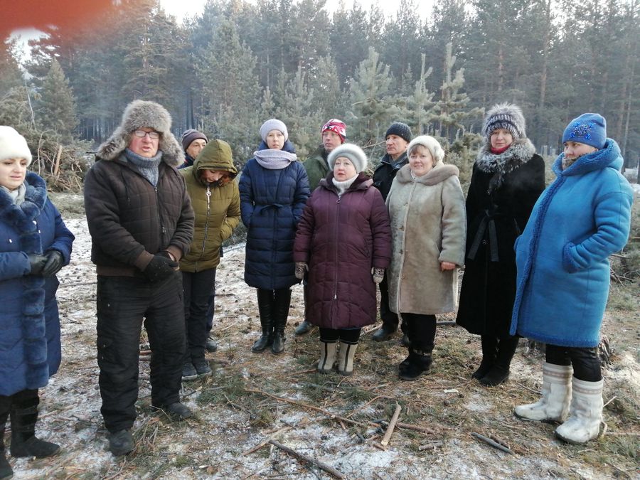 Жители Атамановки подписывают петицию против вырубки леса
