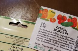 Пора огород городить