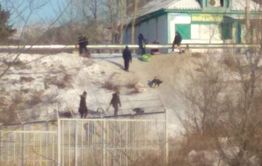 ​Первомайцы и ясногорцы возмущены, что в их поселках не залили горки для детей