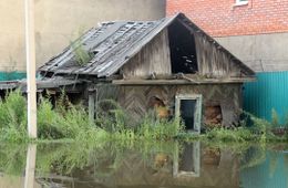 В Чите пострадавшим от наводнения вместо денег дадут картошку 