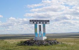 Стая собак напала на ребёнка в Забайкалье. Следователи начали проверку.