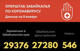 Число инфицированных коронавирусом за весь период составило 29376 забайкальцев