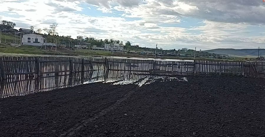 Село Дунаево Сретенского района: Сомы плавают там, где еще сегодня утром была дорога