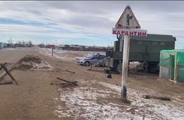 В забайкальском селе хотят изъять скот из-за вспышки узелкового дерматита
