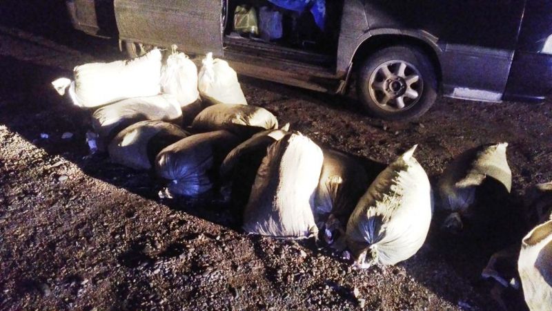13 мешков конопли изъяли полицейские у читинца