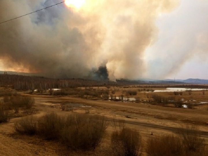 Дети являются виновниками части пожаров в Забайкалье