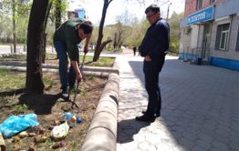 ​«Вечорка» озеленяет город и садит картошку напротив редакции (видео)