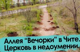 Журналисты подарили Чите аллею из 132 деревьев