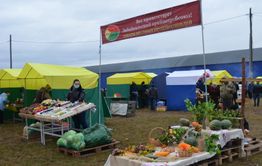 Конноспортивные соревнования пройдут в Чите 25 сентября