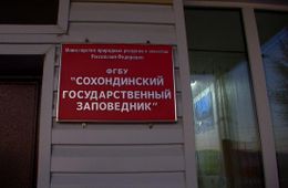 Медведь напал на сотрудника Сохондинского заповедника в Кыринском районе