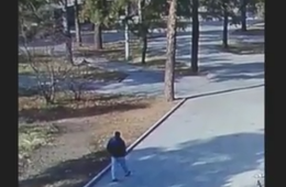 Эксбициониста-педофила разыскивают в Чите после инцидента в Пионерском парке (видео)
